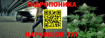 прущие грибы Малоярославец