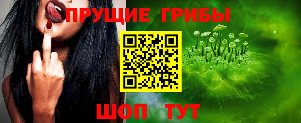 Галлюциногенные грибы Psilocybine cubensis  Вход с VPN  Звенигород 
